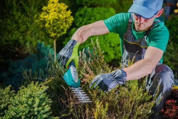 landscaping services Barberton